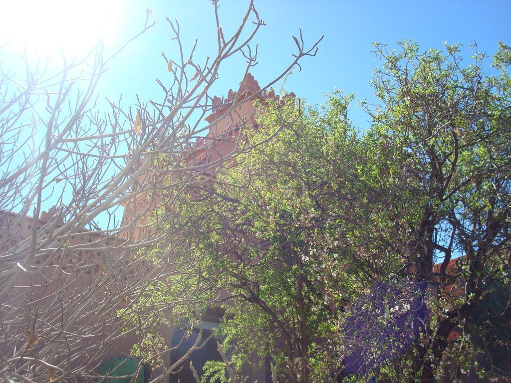 Kasbah Ait Kassi Hotel Boumalne Dades Luaran gambar