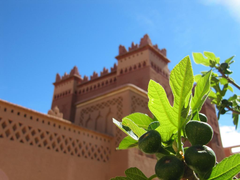 Kasbah Ait Kassi Hotel Boumalne Dades Luaran gambar